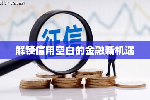 颍州解锁信用空白的金融新机遇