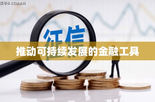 颍州推动可持续发展的金融工具