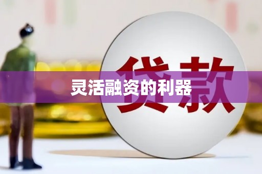 颍州灵活融资的利器