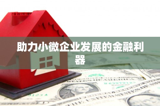 颍州助力小微企业发展的金融利器