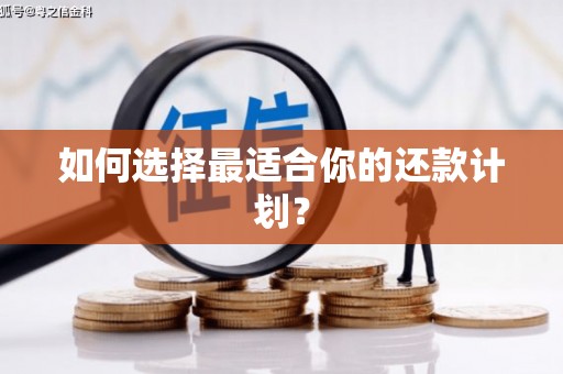 颍州如何选择最适合你的还款计划？