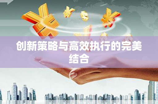 颍州创新策略与高效执行的完美结合