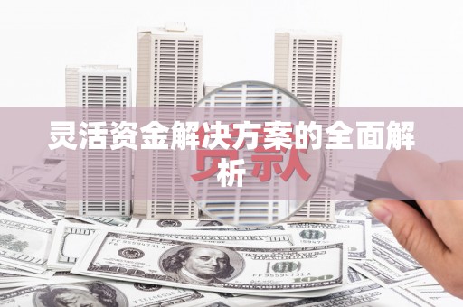 颍州灵活资金解决方案的全面解析