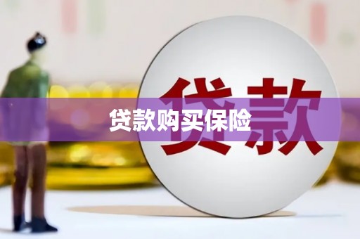 颍州贷款购买保险