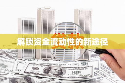 颍州解锁资金流动性的新途径