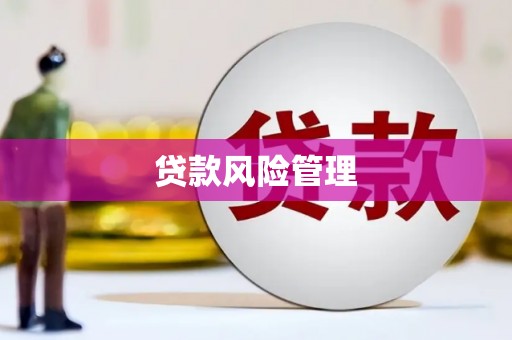 颍州贷款风险管理