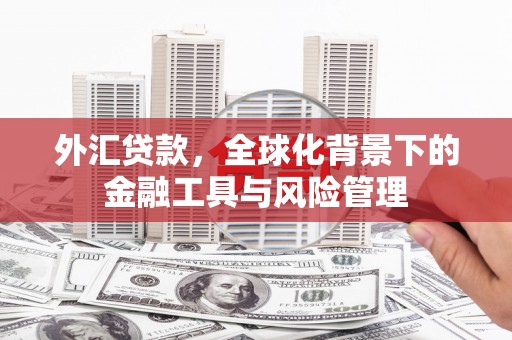 颍州外汇贷款，全球化背景下的金融工具与风险管理