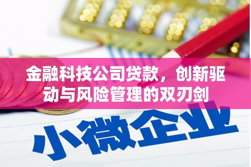 颍州金融科技公司贷款，创新驱动与风险管理的双刃剑