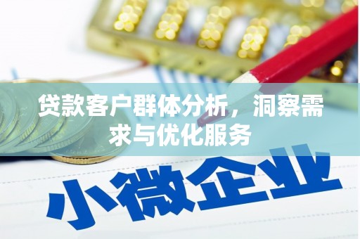 颍州贷款客户群体分析，洞察需求与优化服务